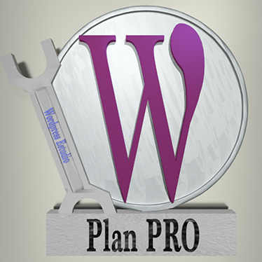 Servicio mantenimiento wordpress Pro