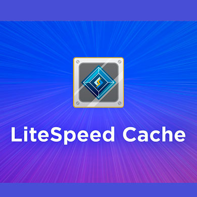 Little speed cache para wordpress