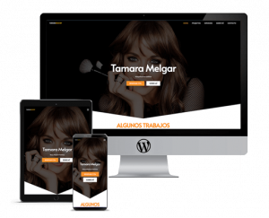 Diseño de paginas Wordpress